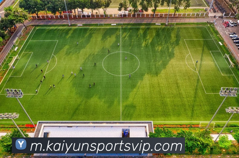 开云体育APP 封面图